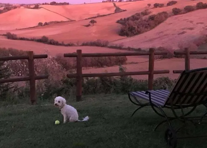 Mandalay & * Senigallia