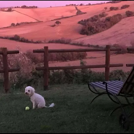 Mandalay & * Сенігаллія