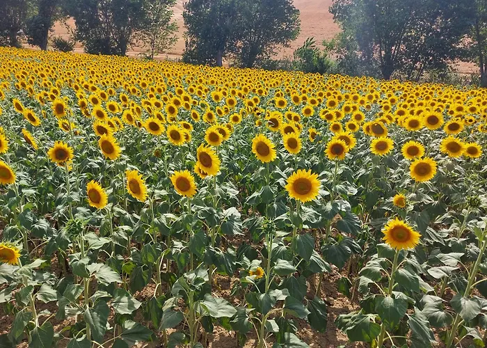 Mandalay & Venkovský dům