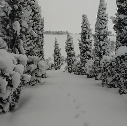 Mandalay & Senigallia